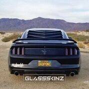 BAKKDRAFT  - GLASSSKINZ BAKKDRAFT MUSTANG S650 24-UP
