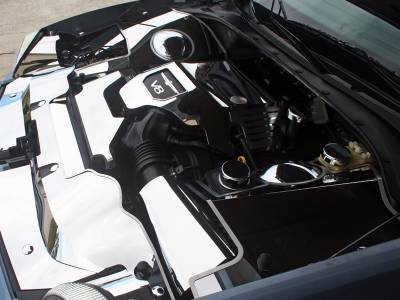 American Car Craft - ACC Fender Covering - 503002-P