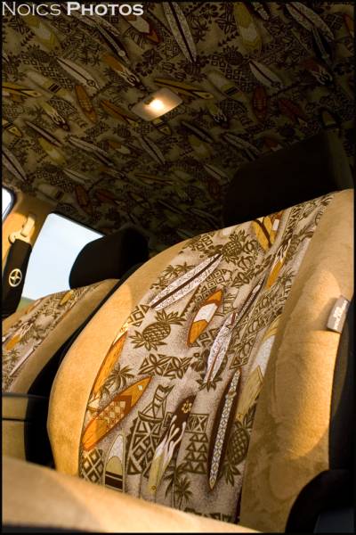 Headliner coverd too