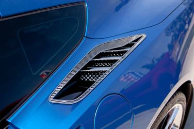 ACC C7 Corvette Stingray - 10pc Rear Quarter Vent Set "Real Carbon Fiber" w/Stainless Trim 2014 - 52065 - Image 3