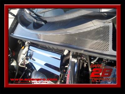 Exterior - Exterior Trim/Cowling/ Misc