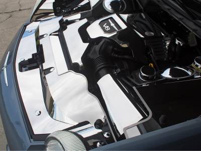 Domestic Auto Steel - Thunderbird Accessories - American Car Craft - ACC Engine Dress Up Kit - 503006-B
