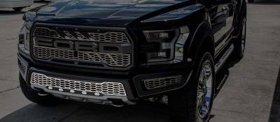 ACC Grille Insert - 772077