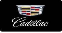 Coilover Systems  - JVR Drive COIL OVERS  - Cadillac